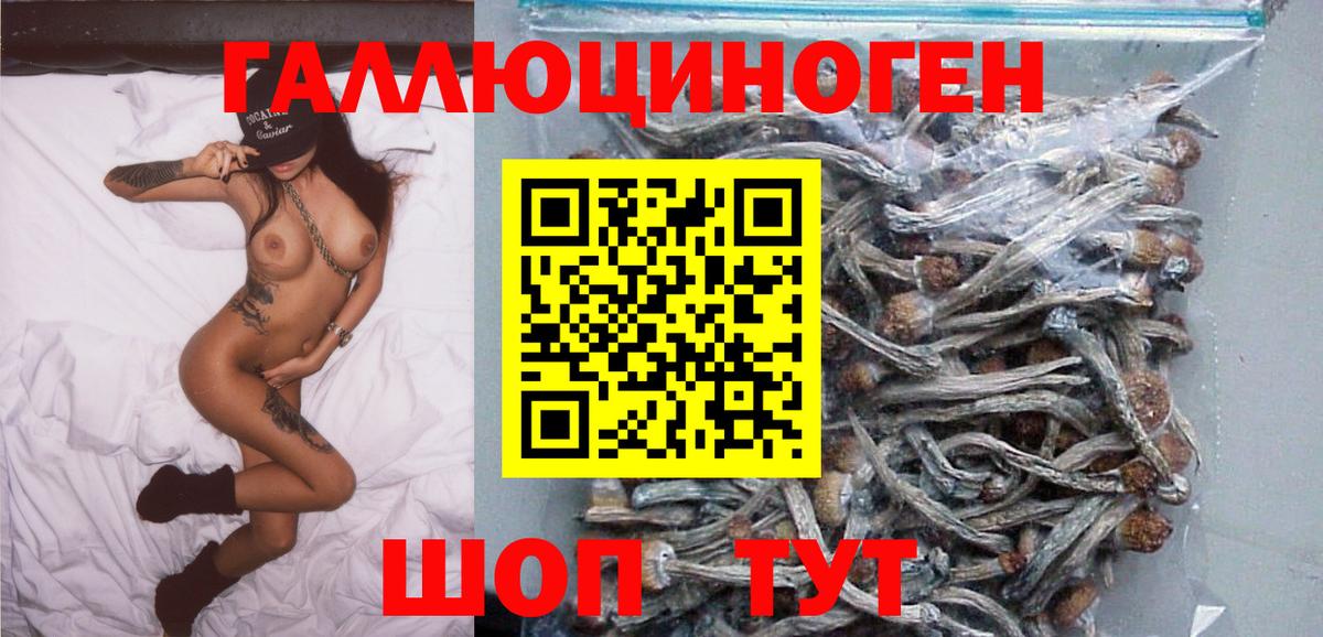 Псилоцибиновые грибы Psilocybe  купить наркотики цена  Дзержинск  Вход с VPN 