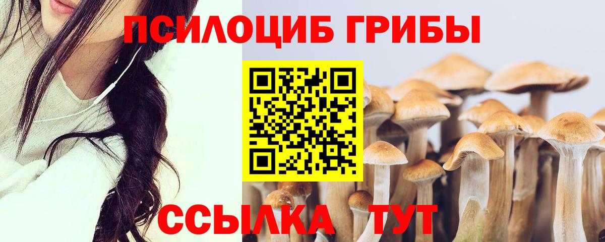 Галлюциногенные грибы мицелий Дзержинск